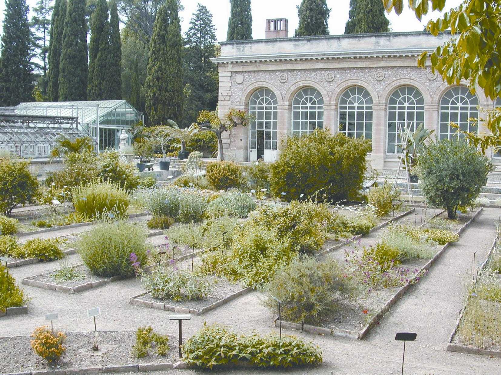 عکسی که بخشی از باغ گیاهان را نشان می دهد.